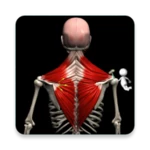 anatomy by muscle & motion android application logo